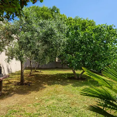 Zulijani Helis B4 Apartmán